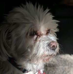 Meet your Posher, Jewels